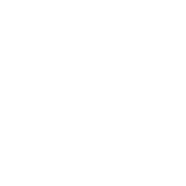 Logo Becoach